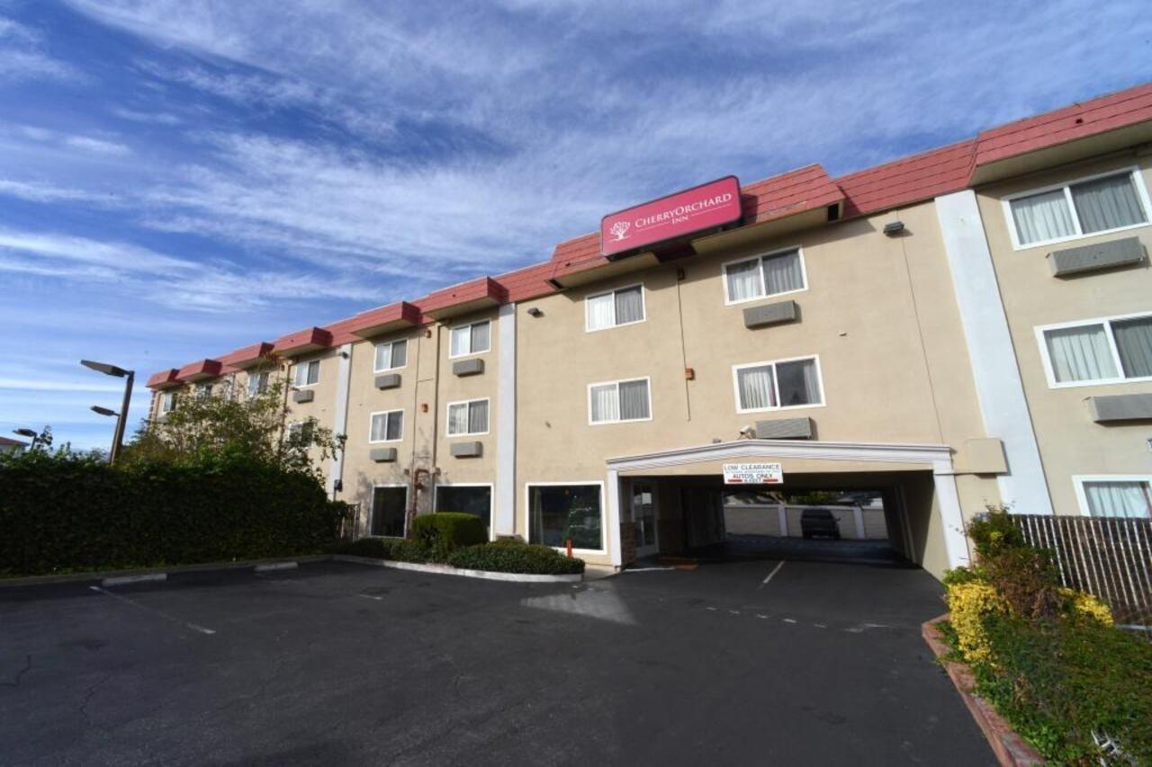 Cherry Orchard Sunnyvale