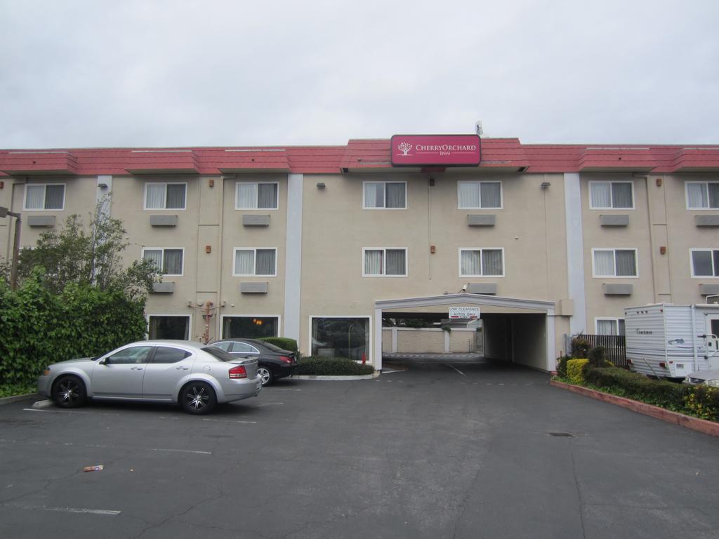 Cherry Orchard 3* Sunnyvale